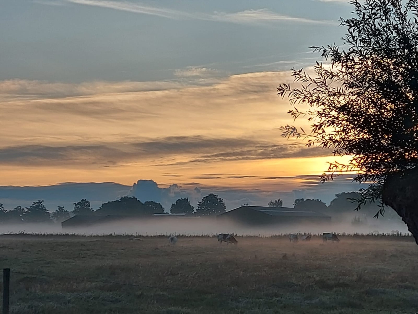Zonsopgang met ochtendmist over de velden rond de camping