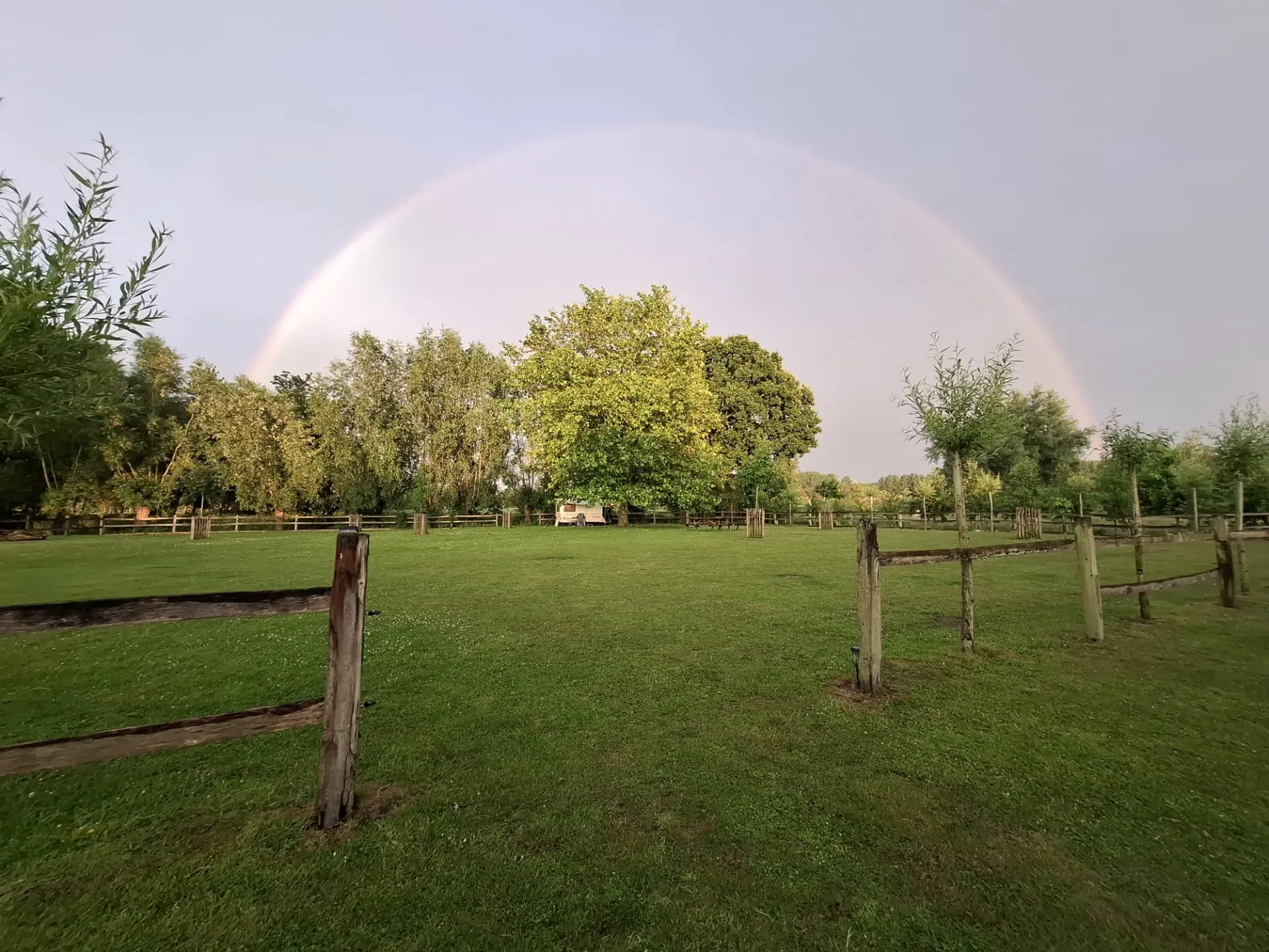 Volle regenboog boven de ruime kampeerweide met houten omheining en oude boom