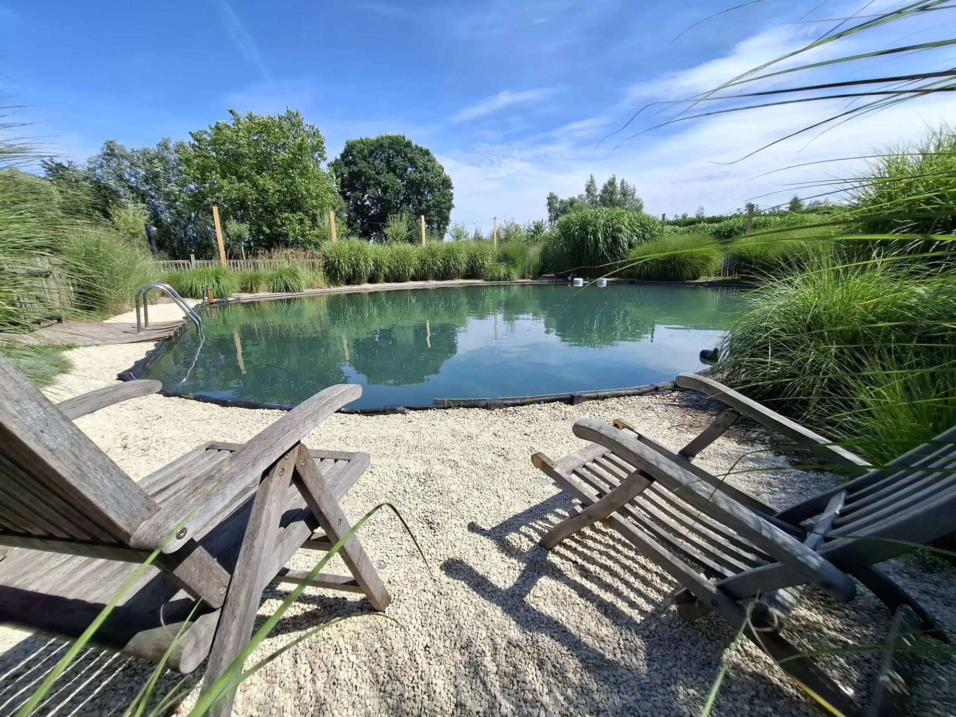 De zwemvijver van 15 op 10 meter met houten ligzetels op het kiezelstrand